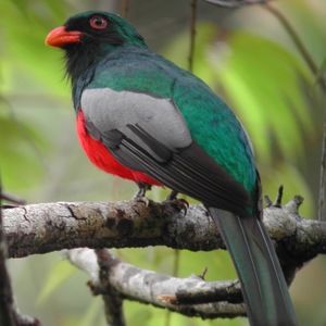 Meet your Posher, Catiana